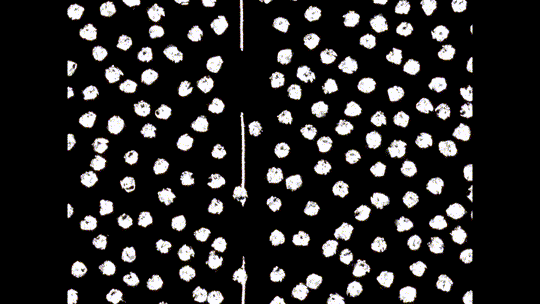 Film Gif