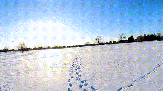 Film Gif